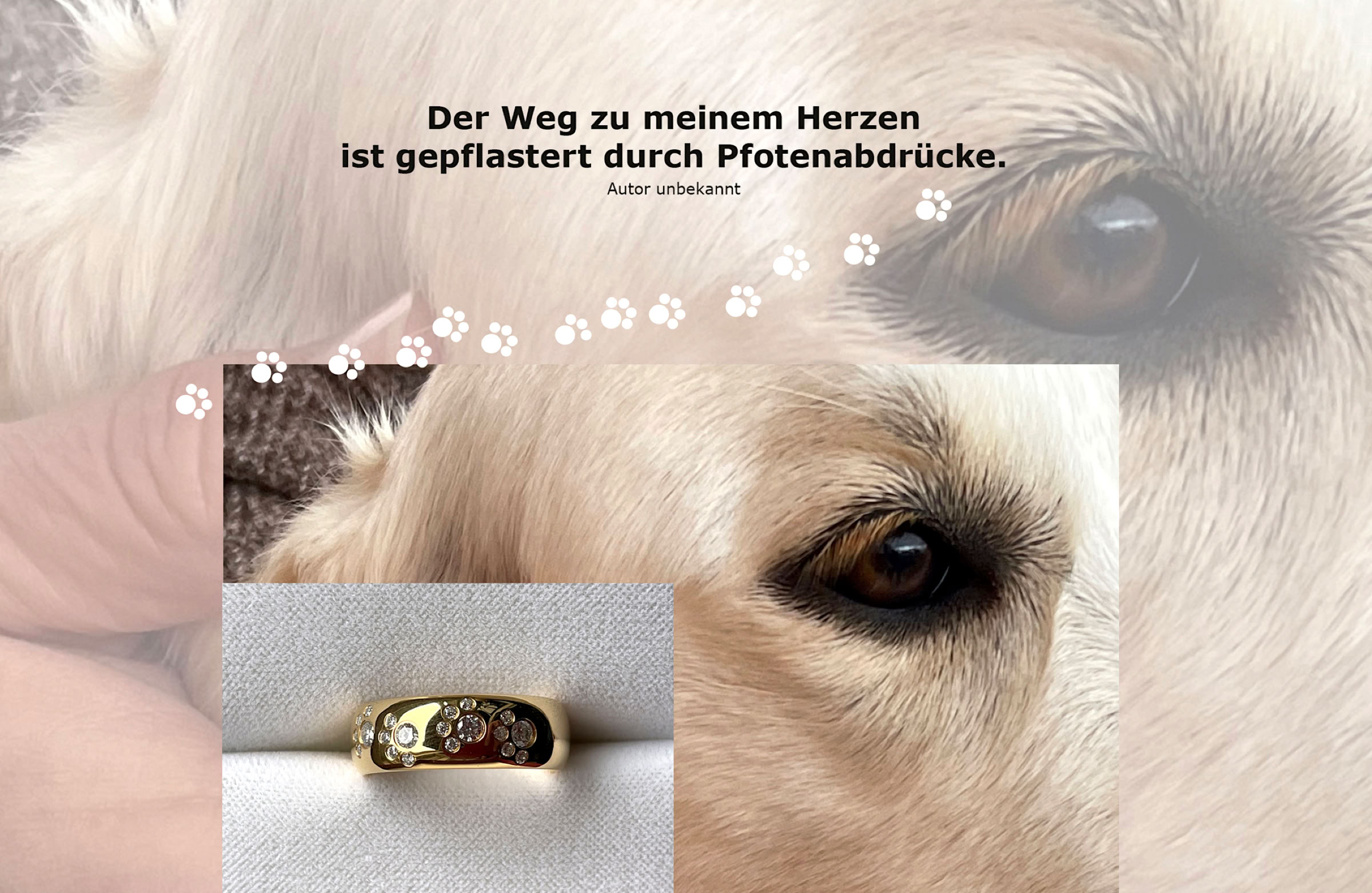 Hundebild mit Spruch und Pfotenring Armband Hund Katze Elke Blank