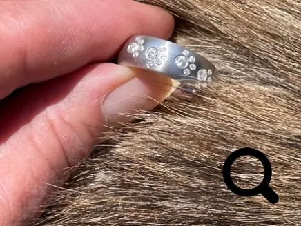 Zwei Finger, die einen silbernen Pfotenring in einem Hundefell halten