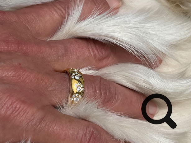 Eine Hand mit goldenem Pfotenring, die einen weißen Hund krault
